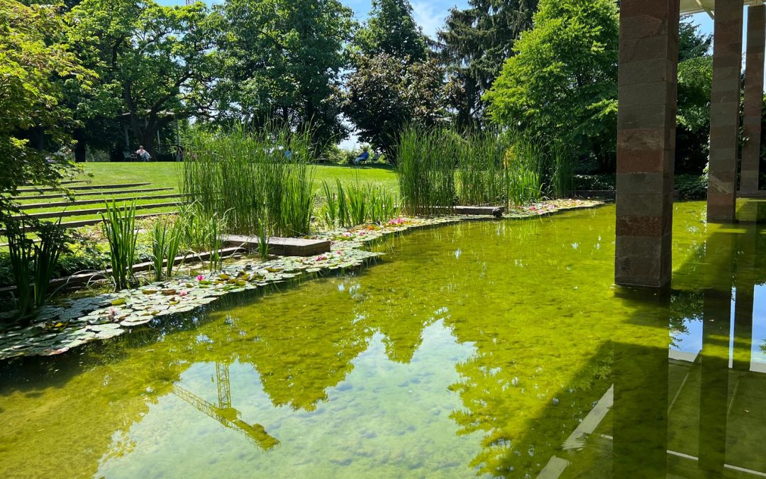 Visite de la Fondation Maeght