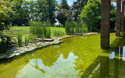 Visite de la Fondation Maeght