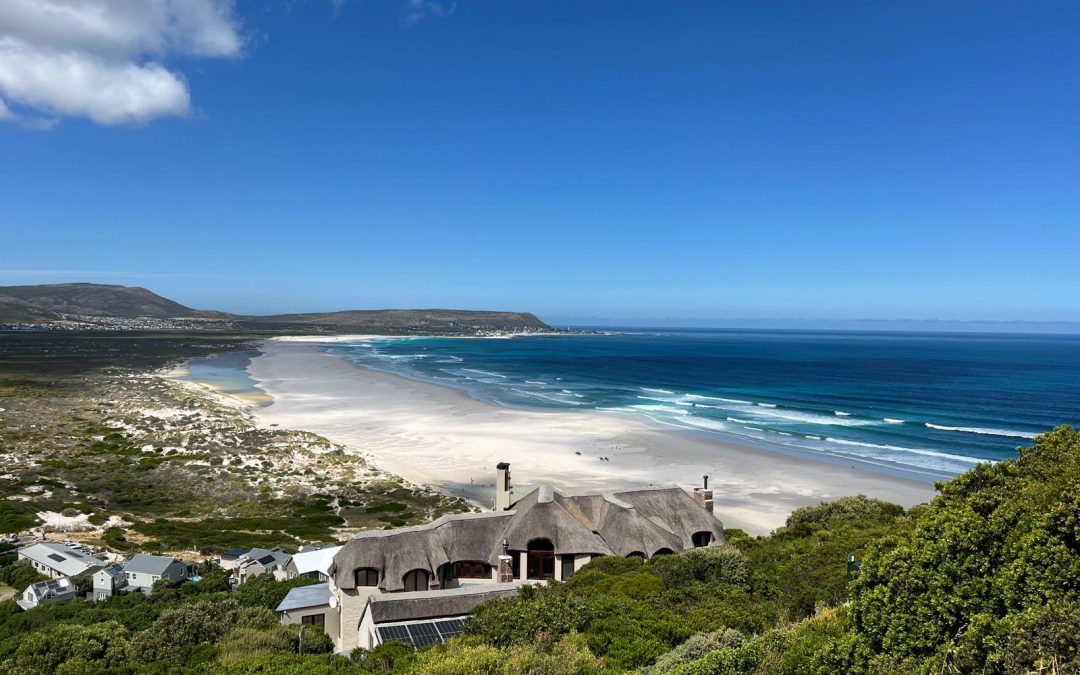 Le plein de nature à Cape Town