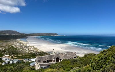 Le plein de nature à Cape Town